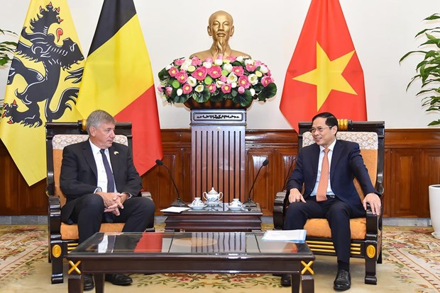 越南外交部长裴青山会见比利时法兰德斯大区首席大臣让·让邦 hinh anh 1