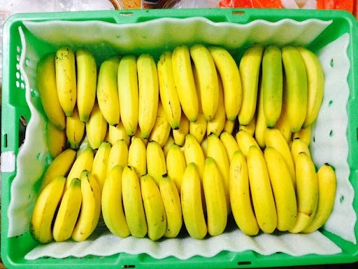 日本加大对越南香蕉的进口力度 hinh anh 1