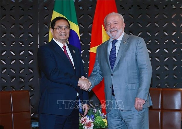 巴西驻越大使：范明政总理访巴将为两国多领域合作开辟机遇 hinh anh 2