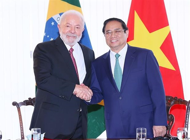 越南政府总理范明政与巴西总统卢拉·达席尔瓦举行会谈 hinh anh 1