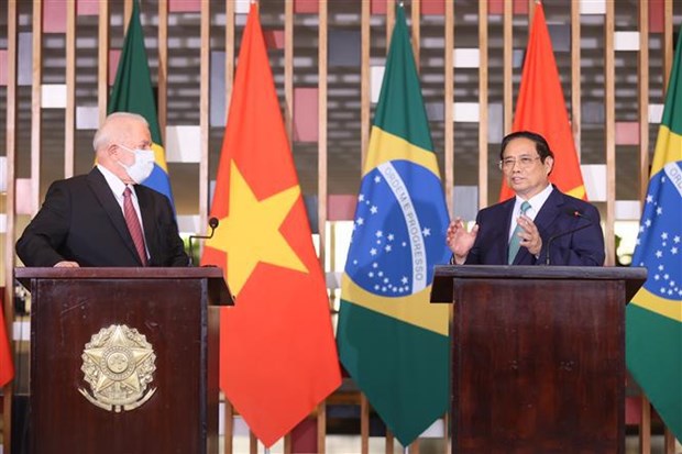 越南政府总理范明政与巴西总统卢拉·达席尔瓦举行会谈 hinh anh 3