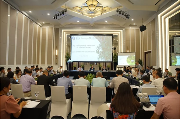 越南出售森林碳信用额获4100万美元的国际资金 hinh anh 1