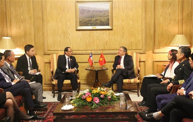 越南与智利加强两国友好合作关系 hinh anh 1