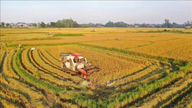 胡志明市充分利用现代科技提高土地利用效率积极推动农业可持续发展 hinh anh 1