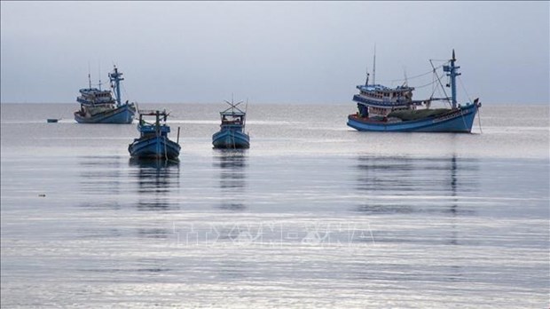 解除IUU“黄牌”：坚江省所有渔船均安装巡航监控设备 hinh anh 1