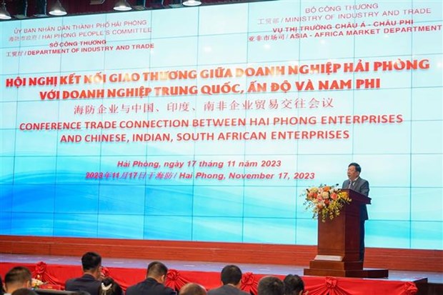 越南海防企业与中国、印度和南非企业加强贸易对接 hinh anh 1