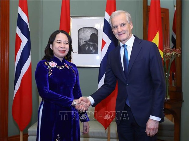 越南国家副主席武氏映春与挪威首相乔纳斯·加尔·斯托雷会谈的联合公报 hinh anh 1