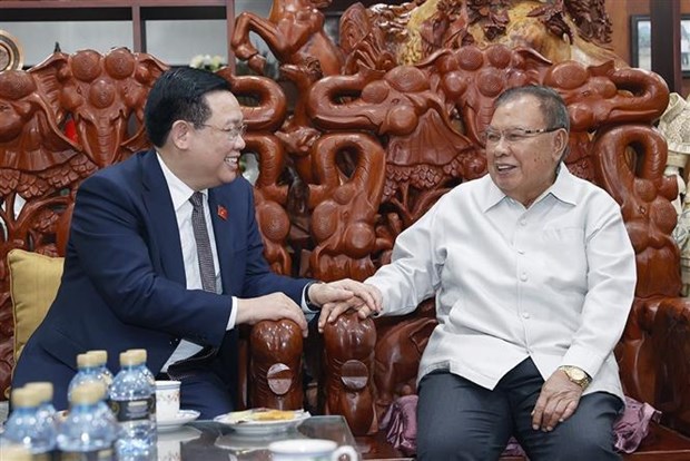 国会主席王廷惠与老挝前高层领导人举行会晤 hinh anh 1