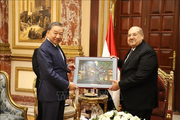 越南与埃及加强友谊与良好合作关系 hinh anh 1