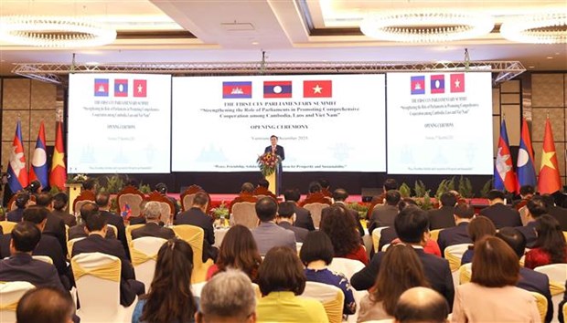越南国会主席王廷惠出席第一届柬老越三国国会高层会议开幕式并发表讲话 hinh anh 2