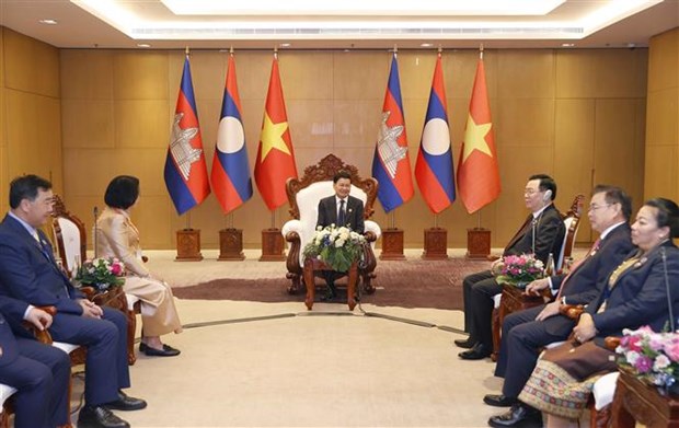 越南国会主席王廷惠出席第一届柬老越三国国会高层会议开幕式并发表讲话 hinh anh 4