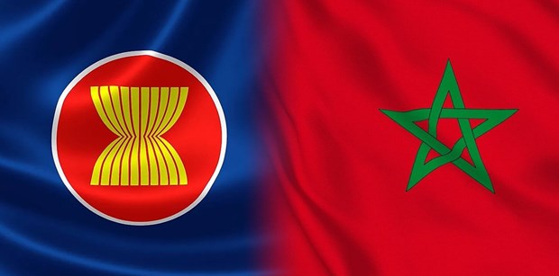 东盟与摩洛哥启动领域对话伙伴关系 hinh anh 1