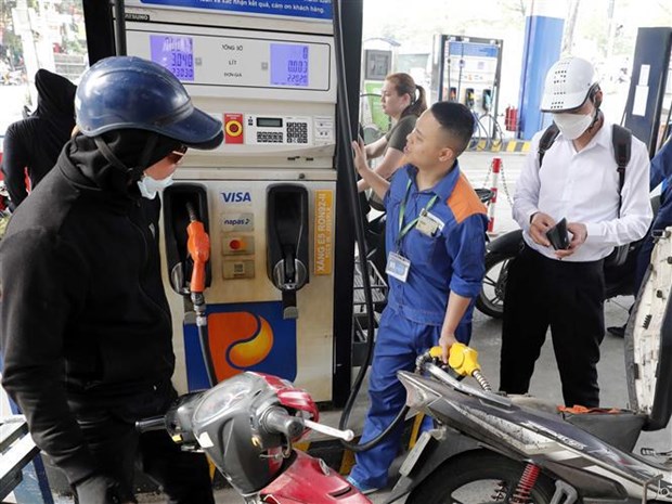 越南成品油价格12月14日大幅下调 hinh anh 1