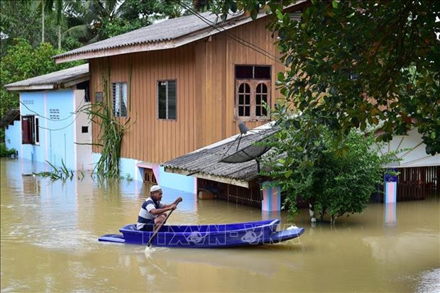 泰国南部数万人遭受洪水影响 hinh anh 1