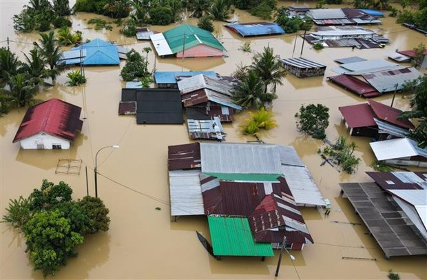 马来西亚发生水灾 超9000人被迫疏散 hinh anh 1