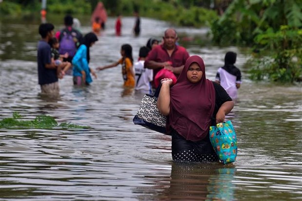 泰国南部洪水造成至少6人死亡 hinh anh 1
