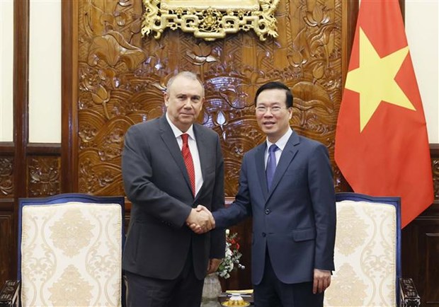 越南国家主席武文赏会见新西兰和秘鲁两国驻越大使 hinh anh 2