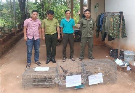 平福省平隆市公安局将多只野生动物移交给布亚摩国家公园 hinh anh 1