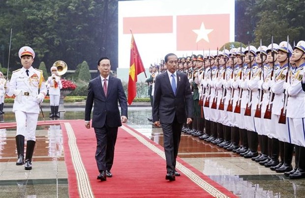越南国家主席武文赏与印尼总统佐科·维多多举行会谈 hinh anh 1