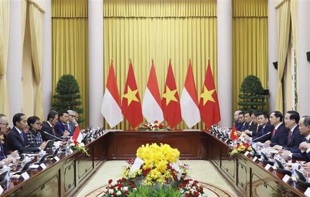 越南国家主席武文赏与印尼总统佐科·维多多举行会谈 hinh anh 2