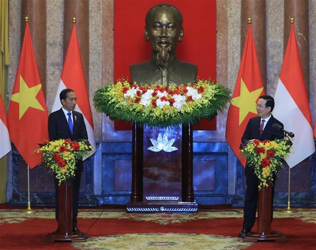 越南国家主席武文赏与印尼总统佐科·维多多举行会谈 hinh anh 3