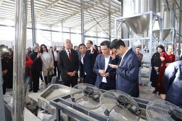 越南企业在埃及的首家生产厂正式落成 hinh anh 2
