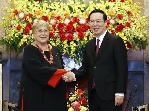 范长江大使：智利是越南的潜在出口市场 hinh anh 3