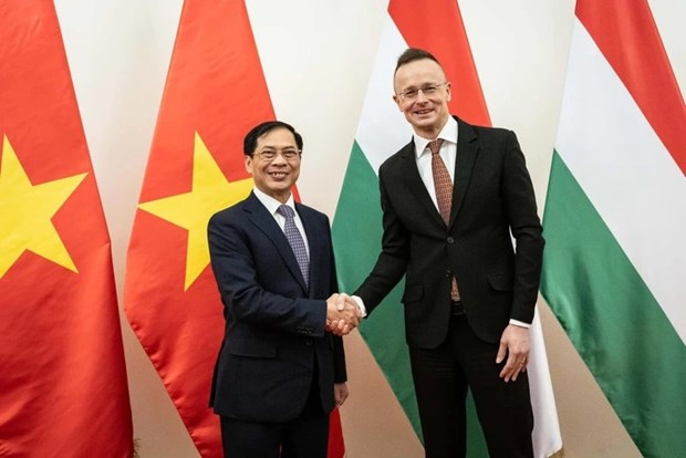 进一步加强越南与匈牙利和罗马尼亚两国之间的对外交往与合作 hinh anh 2