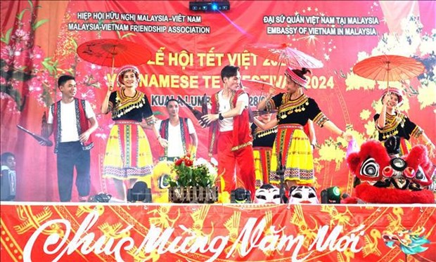 越南驻外使领馆纷纷举办活动 喜迎新春 hinh anh 2