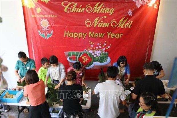越南驻外使领馆纷纷举办活动 喜迎新春 hinh anh 3