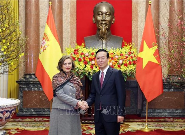 越南国家主席武文赏会见各国新任和离任驻越大使 hinh anh 2