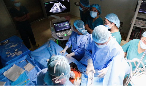越南首例在母腹中接受心脏手术的宝宝健康出生 hinh anh 1