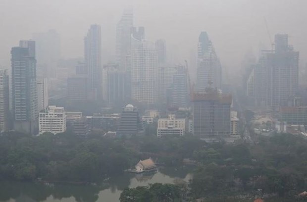 泰国与柬埔寨携手解决边界地区的细颗粒物污染问题 hinh anh 1