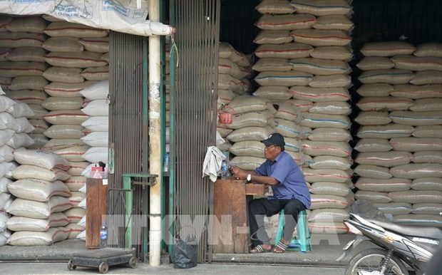 印度尼西亚警告气候变化导致大米价格上涨 hinh anh 1