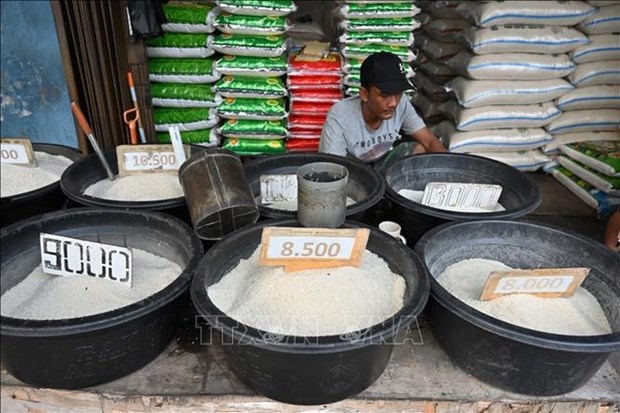 印尼打算将大米进口配额提高160万吨 hinh anh 1