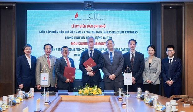 越南油气集团与丹麦CIP集团开展可再生能源合作项目 hinh anh 1