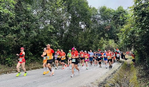 近2400名运动员参加2024年探索广平省马拉松赛 hinh anh 1