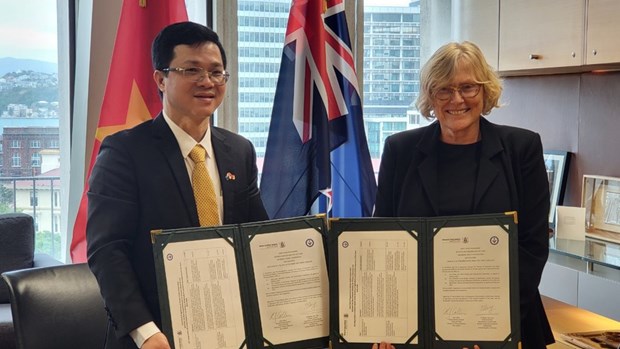 越南和新西兰将实行电子检验检疫证书无纸化 hinh anh 1