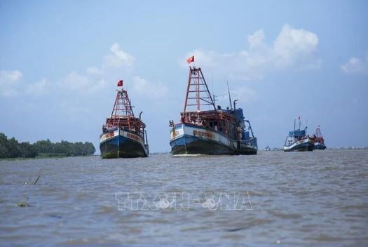 越南严格管理侵犯外国海域的“高风险”渔船 hinh anh 1