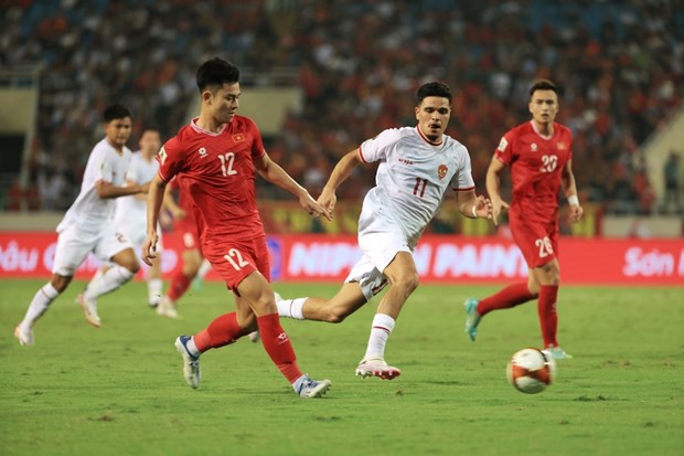 世预赛：越南国足0-3不敌印尼 越方与主教练特鲁西埃终止合同 hinh anh 2