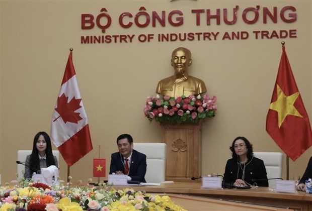 越南与加拿大经济混合委员会：促进贸易投资合作 hinh anh 1