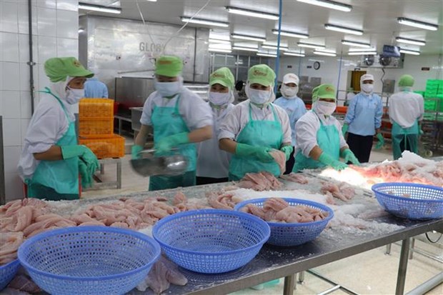 2024年一季度越南农林渔产品出口增长21.8%，贸易顺差扩大近一倍 hinh anh 1