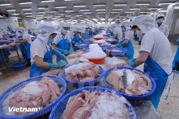 使越南渔业走向可持续发展和一体化之海程 hinh anh 1