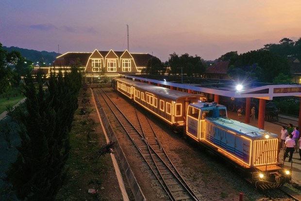 林同省大叻市夜间列车为游客带来新体验 hinh anh 1