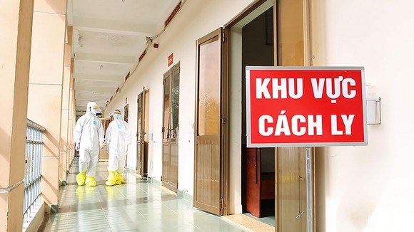 越南新增8例新冠肺炎确诊病例 入境后立即接受隔离 hinh anh 1