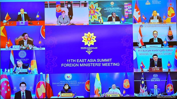 第11届东亚峰会外长会议以线上方式举行 hinh anh 1
