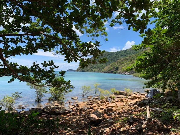 昆岛国家公园吸引林下生态旅游项目 hinh anh 2