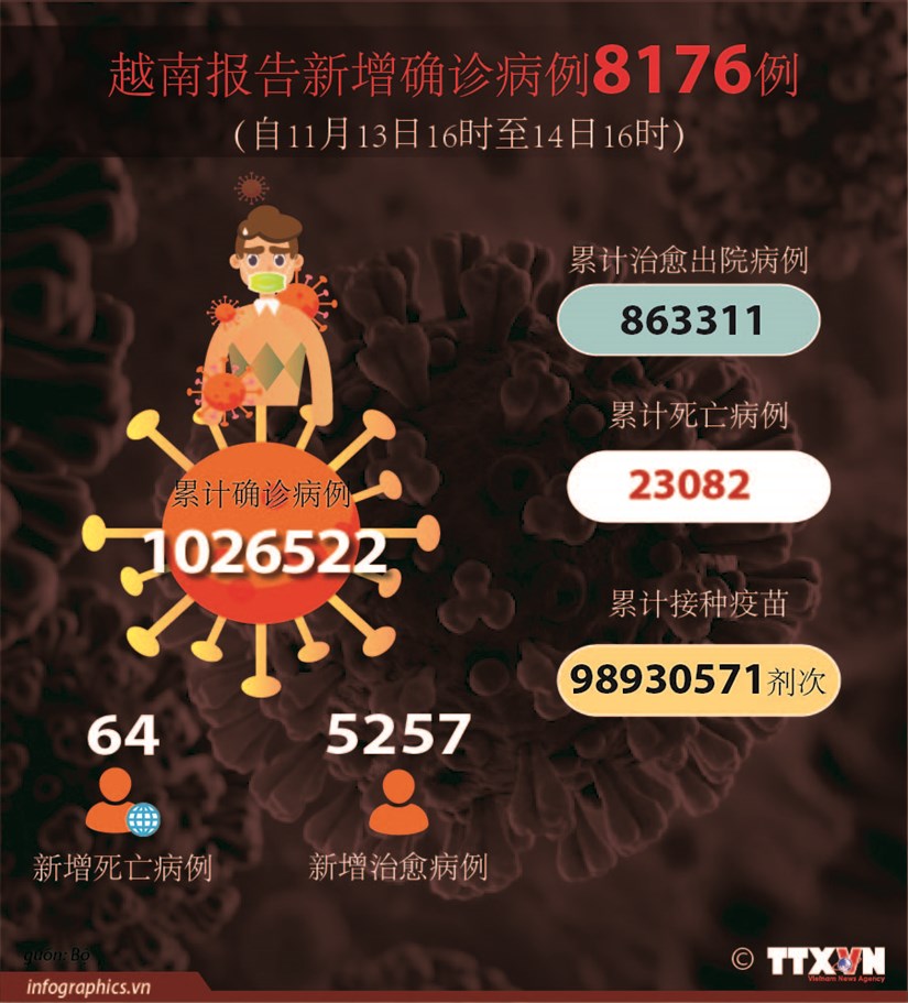 图表新闻：越南报告新增确诊病例8176例 hinh anh 1