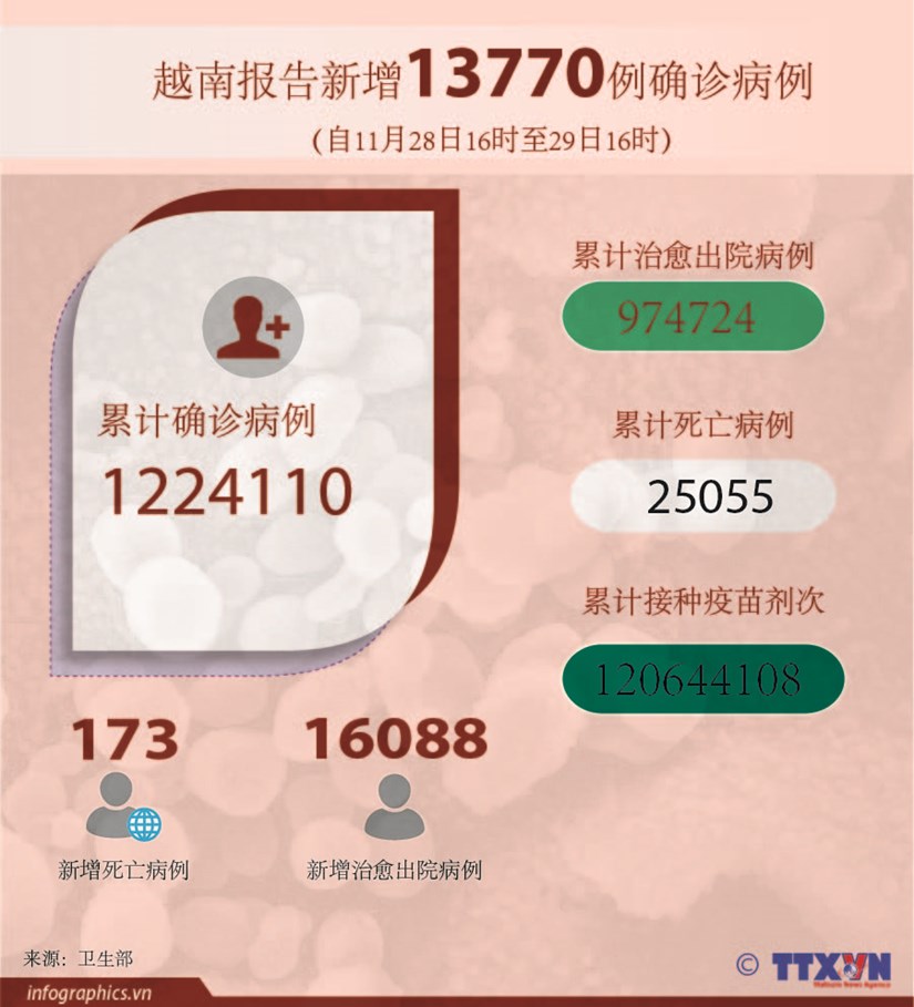 图表新闻：越南报告新增13770例确诊病例 新增死亡病例173例 hinh anh 1