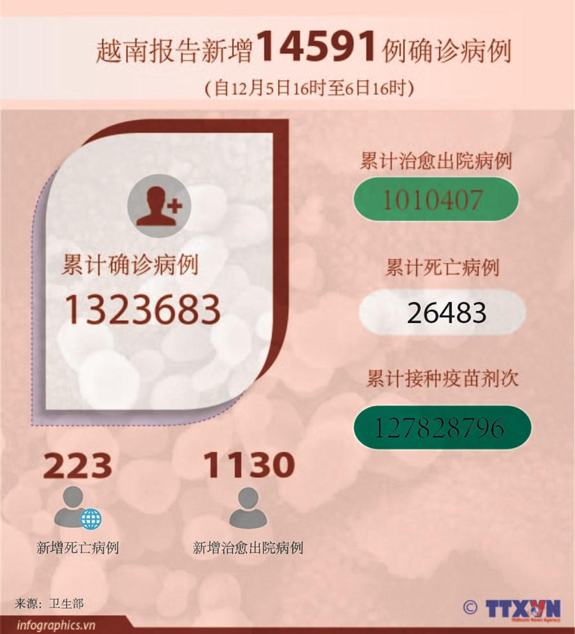 图表新闻：越南报告新增14591例确诊病例 新增死亡病例223例 hinh anh 1